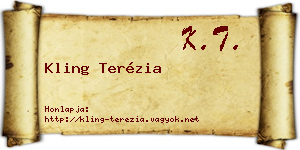 Kling Terézia névjegykártya